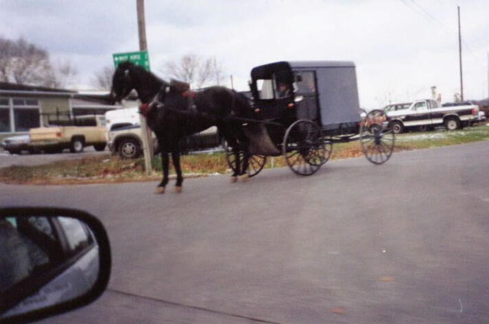 Low-tech transport. In your choice of black, or black. 2 Horsepower.